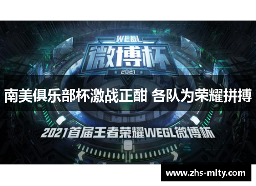 南美俱乐部杯激战正酣 各队为荣耀拼搏